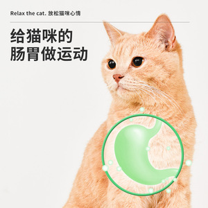 Bâton à mâcher pour chat, herbe à chat, nettoyage des dents, jouet à mâcher pour chaton, accessoires de dentition, friandises pour chat, jouets. - Product Image 4