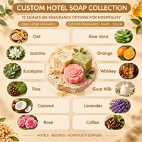 Savon rond miniature pour hôtels, resorts et spas, huile essentielle végétale, 15g, 20g, 25g, marque privée