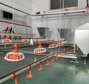 Gà trang trại gia cầm nông nghiệp thiết bị gia cầm cho ăn tự động hệ thống Gà Thịt Pan Feeder gia cầm cho ăn Hệ thống dòng - Product Image 6