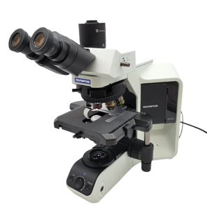Infinity Optisch Systeem Olympus Multifunctionele Binoculaire Olympus Bx53 Semi-Gemotoriseerde Fluorescentiemicroscoop Voor Laboratoria - Product Image 1