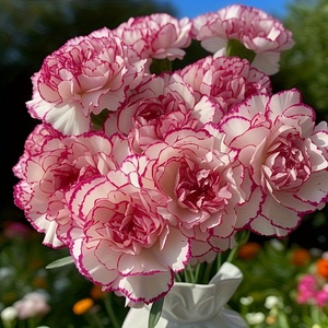 14 elegante künstliche Nelkenblüten mit rosa Akzenten – Segen und Gesundheit, 2 realistische Kunststoffsträuße geeignet - Product Image 1