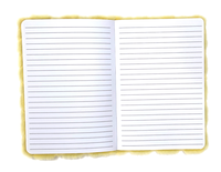 Carnets personnalisés Kawaii Flower Plush Notebook Dairy Cute Journal for Students Custom