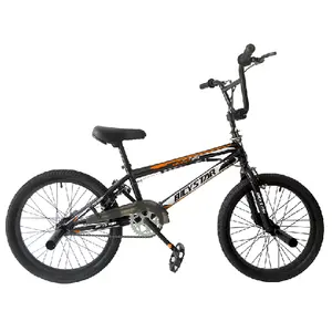 Bicicletta da 20 pollici 20*2.4 di alta qualità bmx 20x2.40 per bici da corsa per adulti in vendita