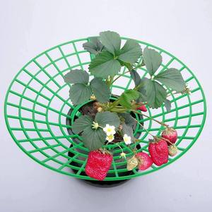 Soporte de fresa Binkai, soporte de enrejado verde para plantas en maceta, diseño apilable, soporte duradero para herramientas de jardín - Product Image 1