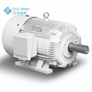 NEMA Design D TEFC 8 Pole 20 HP 3 Phase ac Motor elektrik untuk pompa sumur minyak