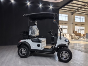 WELIFTRICH 3-4 Seat 60V Lithium Battery Fully Waterproof Steel <b>Frame</b> Off-Road Electric Golf Cart Outdoor Golf <b>Play</b> 30-50Km/h CE - Product Image 5