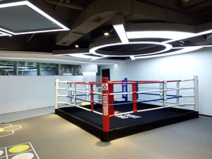 <span class=keywords><strong>Ring</strong></span> da Boxe di Alta Qualità per Macchina da Boxe - Product Image 6