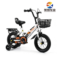 Vélo Enfant en Gros 12 14 16 18 20 Pouces, Pneus 2.125, Stabilisateurs Lumineux, Prêt à Expédier, Fournisseur OEM
