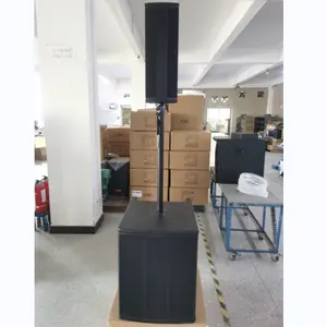 12 15 18 polegada Sub Bass Módulo classe D amplificador construído em DSP PRO Systems e alto-falantes alimentados alto-falantes Subwoofer ativos