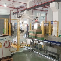 Boyang industria robot brazo pinza cartón paletizado brazos robóticos para elevación