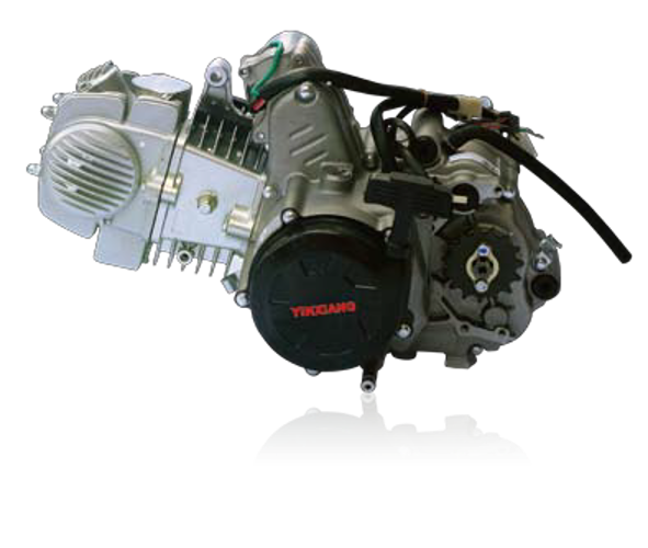 Gasoline 135cc Engine Motorcycle Engine for Cub Motorcycle or Small Tricycle