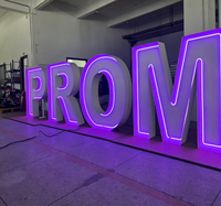 Lettres lumineuses LED personnalisables pour proposition de mariage et fête