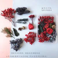 Kit de matériaux DIY de fleurs séchées colorées fantaisie, fleurs préservées pour la décoration de gâteaux, cadre photo, fournitures artisanales, décoration de cadeaux