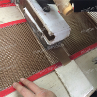 Courroie en tissu tissé uni résistant aux hautes températures, revêtue de PTFE double face, avec maille en fibre de verre sans alcali, personnalisée en usine