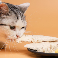 Poitrine de poulet entière lyophilisée de haute qualité, 100% viande pure, friandises crues pour chats et chiens, haute teneur en protéines, récompense pour l'entraînement