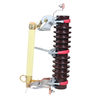 YONGCELE RW11-12 200A 10/12kV 50Hz Fusible de coupure à déraccordement 10kV pour ligne électrique haute tension extérieure