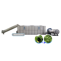 Déshydrateur alimentaire commercial, machine à sécher les épinards, la laitue et les herbes aromatiques