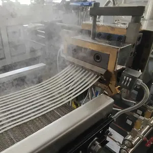 Bioplastic Zakken Maken Machine Cassave Granulerende Machine Pla Pbat Biologisch Afbreekbare Korrelmachines