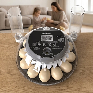 WONEGG Nueva Tendencia Incubadora de Huevos Mini con Control por Voz <span class=keywords><strong>Howard</strong></span> 12, Incubadora Automática para Pollos - Product Image 1