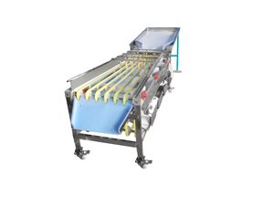 Machine de triage des fruits certifiée CE, équipement de traitement automatique des dattes, olives, oranges, raisins et aubépines - Product Image 2