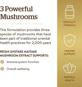 Werks bedarf REISHI Extrakt Pulver Reishi Pilz kapseln Kunden spezifische Reishi Pilzex trakt Kapseln mit Flaschen