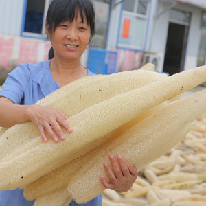 Éponge de loofah longue séchée, biodégradable et biologique, pour application corporelle, naturelle et écologique - Product Image 4