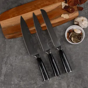 Hand-polished Damascus Steel Blade Kitchen Knife 10 Pcs New Classic Germany Damascus Knives Set