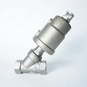 Filettato in acciaio inox SUS304 SUS316 Y-Type valvola a pistone angolare pneumatica DN15 DN20 DN25 DN32 DN40 DN50 DN65 DN80 DN100