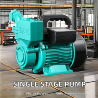 Pompa Booster Listrik Satu Tahap Self-Priming Besi Cor Efisiensi Tinggi Xinghuihong 0.75kw Bertenaga Motor Kawat Tembaga