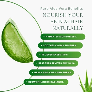 ETRUN ALISA - Crema Facial de Gel de <span class=keywords><strong>Aloe</strong></span> <span class=keywords><strong>Vera</strong></span> Orgánico de Marca Privada <span class=keywords><strong>para</strong></span> la Eliminación de <span class=keywords><strong>Cicatrices</strong></span> de Acné, Terapia Profesional <span class=keywords><strong>para</strong></span> <span class=keywords><strong>Cicatrices</strong></span>, <span class=keywords><strong>para</strong></span> Todo Tipo de Piel - Product Image 6