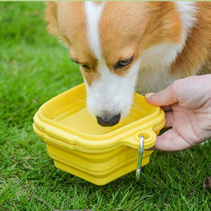 Hot <b>Outdoor</b> Portable Eco-friendly Silicone Pet Bowl Foldable Double Layer Dog Bowl Square Cat and Dog Drinking Feeding Bowl - Product Image 1