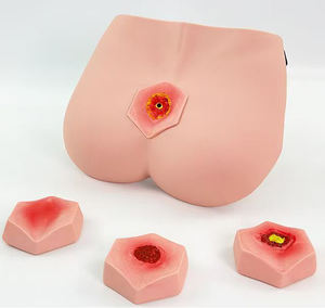 Cuidado Presión Dolor Úlcera Cuidado Modelo de enfermería para personas mayores Decubitus Dan Care - Product Image 6