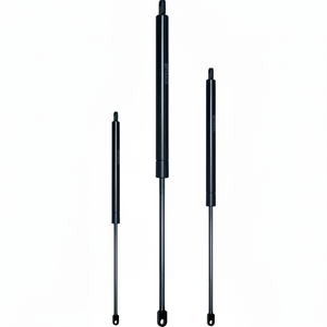 C 200 Course F 700 N CYLINDRE OLÉOPNEUMATIQUE (VO20/070) - Product Image 1