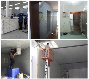 220V Hoàn Chỉnh Lạnh Thiết Bị Lưu Trữ Nhanh Chóng Đóng Băng Ice Kho Lạnh Đơn Vị Cho Trái Cây Thịt Đóng Băng Container - Product Image 6