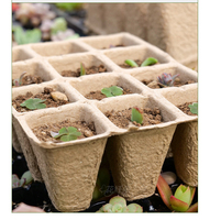 DD3168 Pots de départ de graines de tourbe carrées biodégradables avec trous de drainage Plateaux de germination de plantes de pépinière