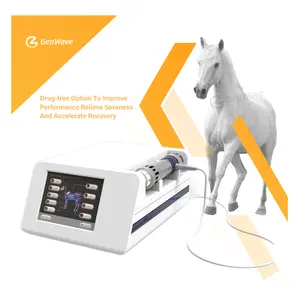 Low Intensity Quick Pain Relief Machine Portable Eswt Focused Shock Wave Therapy Equine Wave Shockwave Therapy Device