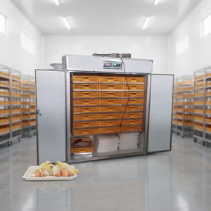Incubadora de Huevos para Pollos y Patos, Gran Capacidad, Equipo de Incubación Automático para Granja - Product Image 1