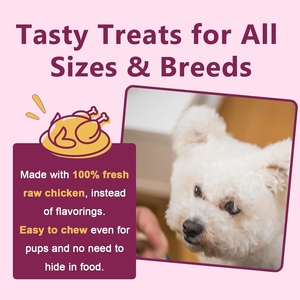 Golosinas Masticables para el Cuidado de Mascotas, 60 Unidades, Marca Privada ODM/OEM, Salud Digestiva Intestinal, Golosinas Nutricionales Prebióticas y Probióticas para Perros - Product Image 3