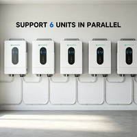 ABD Menşei 12kW 8kw 10kw Hibrit İnvertör GES48120M250-500XP Tüm Ev İçin Yedek Güneş Enerjisi Depolaması RS232 RS485 CAN ile