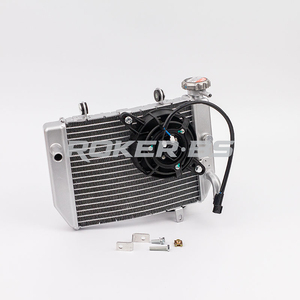 Radiateur en aluminium pour système de refroidissement de moto RS150/GTR150 - Product Image 4