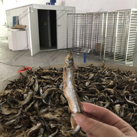 Energiebesparende voedseldroger voor vis, sardines, kip, geitenvlees en andere producten.