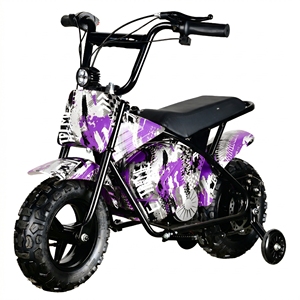 Mini Moto Électrique MAXSPEED 250DH Pas Chère en Gros, Moteur à Balais 500W, Batterie Plomb-Acide 36V 12Ah, Démarrage Facile, <span class=keywords><strong>Pocket</strong></span> <span class=keywords><strong>Bike</strong></span> - Product Image 1
