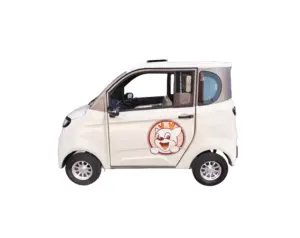 Vendita calda a buon mercato una persona 4 ruote elettrico mini auto per adulti nuovo con CE approvazione per disabili per la vendita