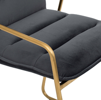 Meubles européens de haute qualité, pieds en métal plaqué or, fauteuil en velours noir