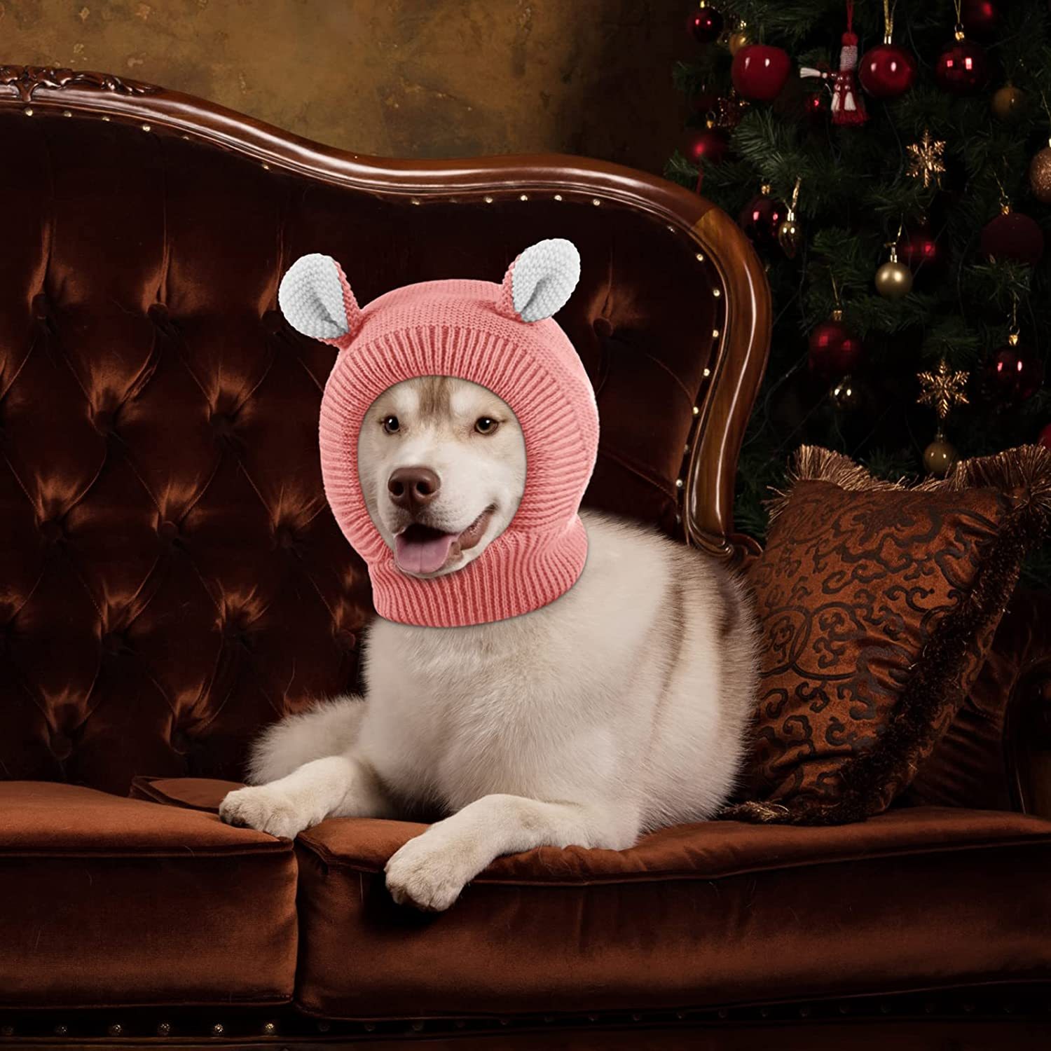 Gorro De Invierno Para Perros Pequeños - Polar, Acolchado, Con Hebilla Ajustable, Tallas S/M