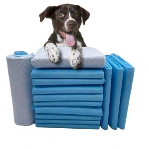 20PCS/<b>BAG</b> of Six Layer Environmentally Friendly Super Absorbent Waterproof and Leak Proof Pet <b>Training</b> Mats With Scented - Product Image 1