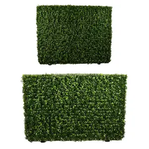 Ivy Covering Grass Plant Design Flower Box Hedge 2017 Ornamental Boxwood Green Artificial Vertical Garden Wall