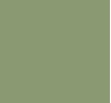Gris-vert