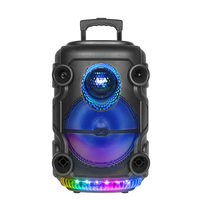 12 Inch Party Trolley Speaker with Colorful Lighting AUX USB Wireless Microphone for Outdoor Events