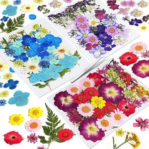 Assortiment <span class=keywords><strong>de</strong></span> feuilles florales séchées naturelles pour kit d'artisanat DIY, pour la résine, la fabrication <span class=keywords><strong>de</strong></span> téléphones, <span class=keywords><strong>de</strong></span> savons, <span class=keywords><strong>de</strong></span> bougies et <span class=keywords><strong>de</strong></span> bijoux - Product Image 2